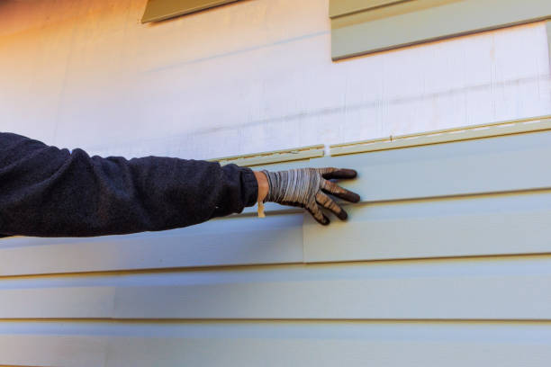 Best Vinyl Siding Installation  in Fritch, TX